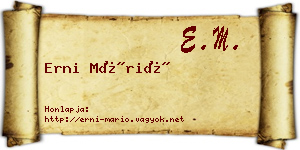 Erni Márió névjegykártya